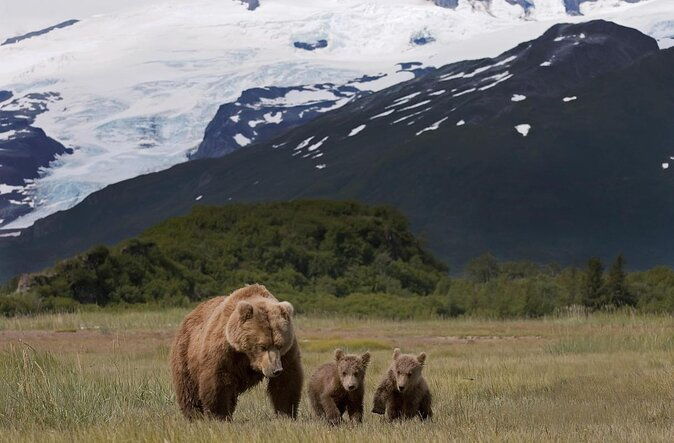 2-park-bear-viewing-adventure-to-katmai-and-lake-clark-np