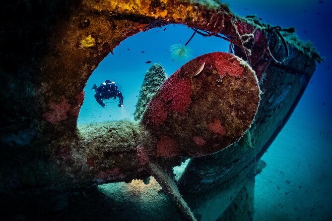 2-scuba-fun-dives-for-certified-divers-in-st-pauls-bay