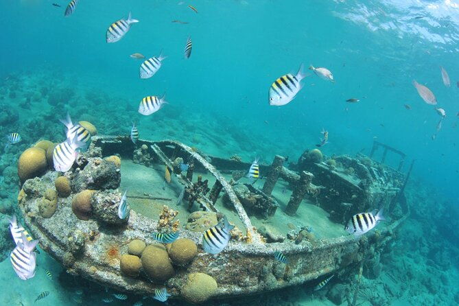 2-tank-guided-dive-half-day
