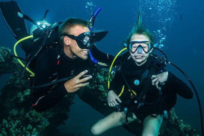 2-tank-maui-turtle-scuba-dive-or-snorkel-boat-tour-2