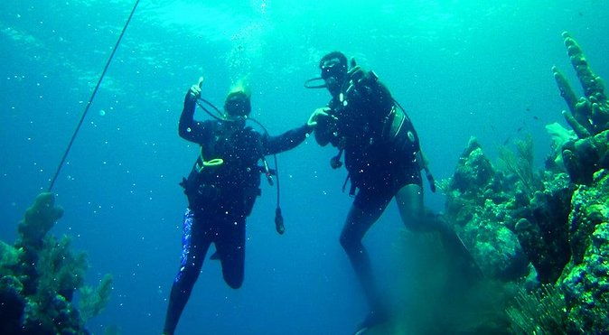 2-tank-roatan-fun-dive-boat-sightseeing-tour-including-ground-transportation