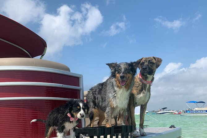 24ft-pontoon-boat-rental-2