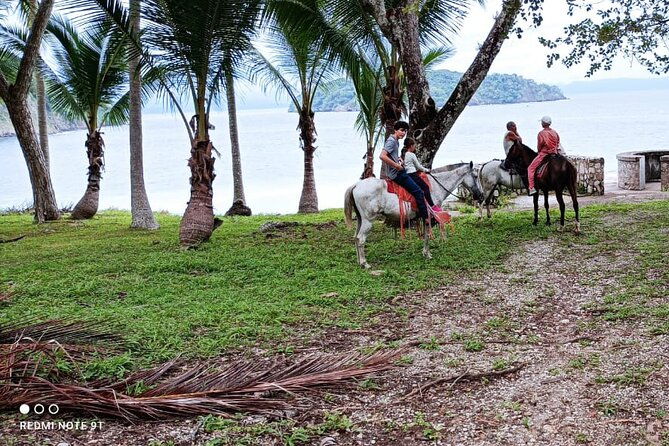 1-1-2-hours-tour-horseback-riding-and-visiting-the-beach