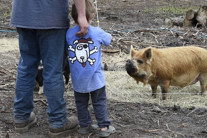1-5-hour-immersive-farm-experience-in-adirondacks