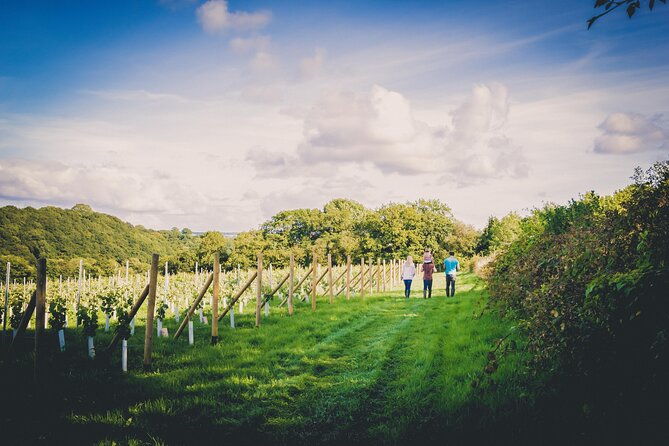 1-5-hour-swanaford-vineyard-tour-and-tasting-experience-2