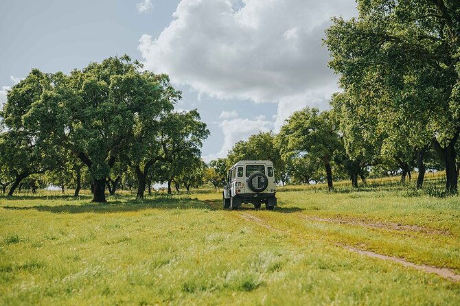 1-day-wine-tour-around-evora-2