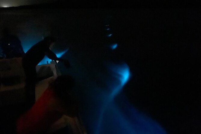1-hour-bioluminescent-boat-tour-in-mosquito-bay-vieques