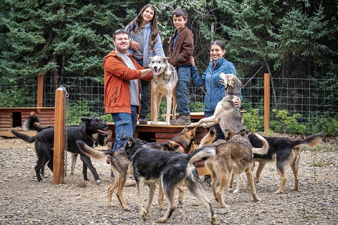1-hour-fall-sled-dog-experience-in-two-rivers