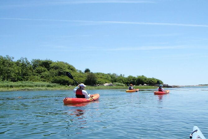 1-hour-guided-sup-kayak-tour-in-pelican-bay-at-fort-myers-beach