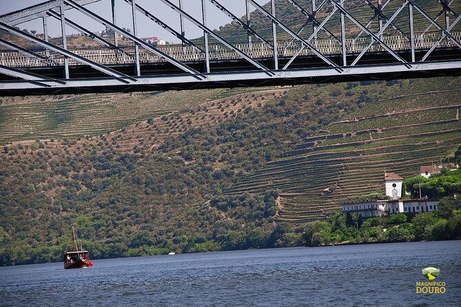 1-hour-rabelo-boat-trip-in-pinhao-2