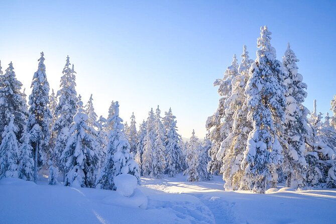 1-hour-snowmobile-safari-adventure-in-rovaniemi-2