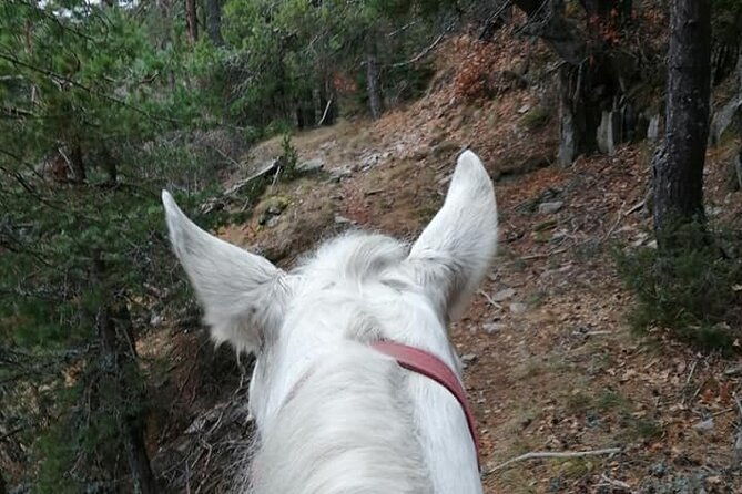 1-hour-waterfalls-canyon-private-horse-riding-in-smolyan