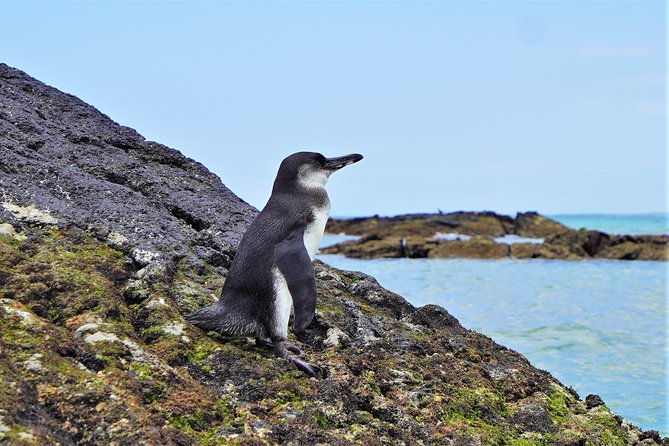 10-day-galapagos-multi-sport