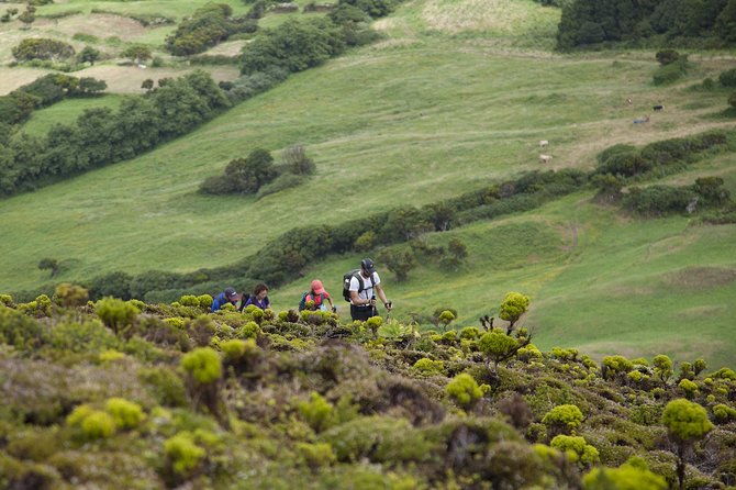 10-volcanos-hiking-private-tour-in-faial