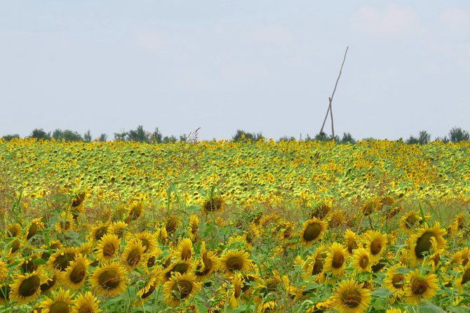 100-km-by-bike-near-bucharest