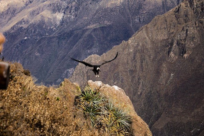 2-day-1-night-trek-colca-canyon