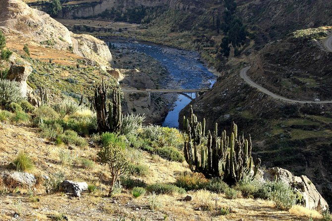 2-day-colca-canyon-and-condor-tour-from-arequipa-peru-group-service