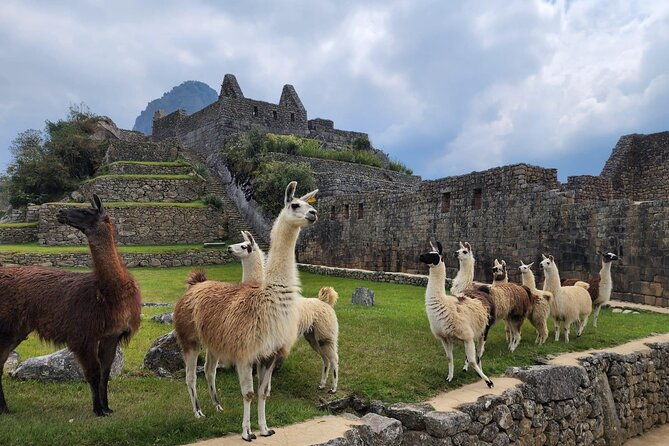 2-day-inca-trail-to-machu-picchu-2