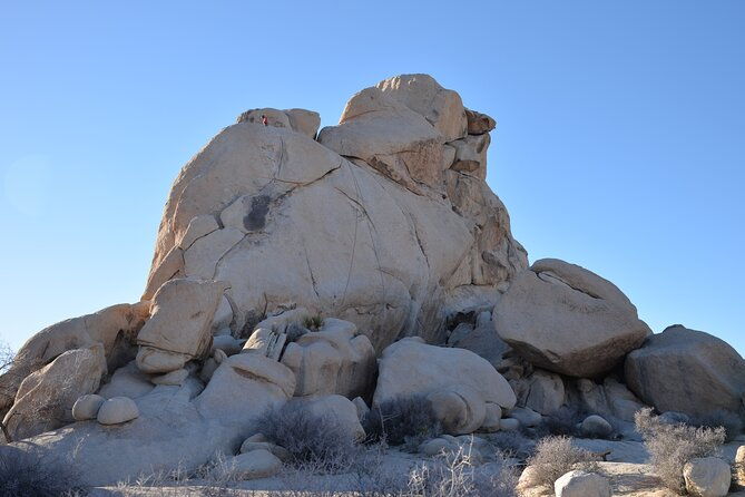 2-days-private-tour-to-joshua-tree-national-park-from-los-angeles