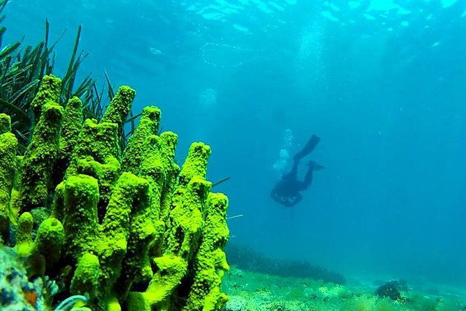 2-dives-package