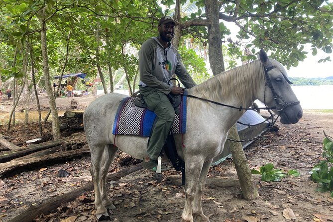 2-hour-beach-horse-back-riding-in-puerto-viejo