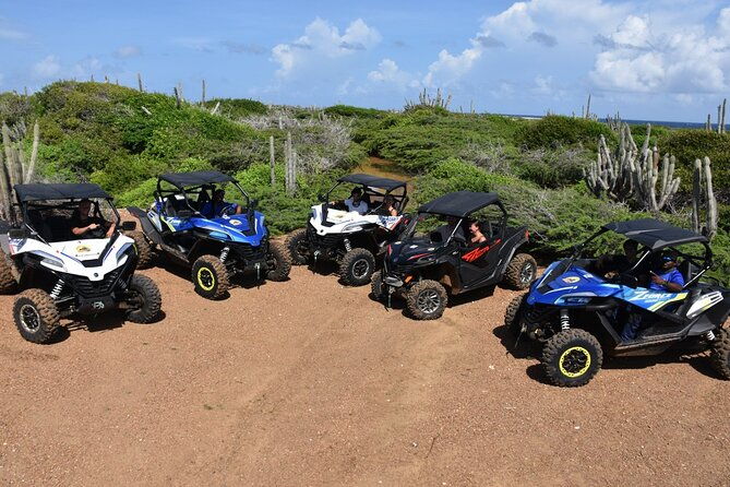 2-hour-buggy-adventure-tour-in-curacao