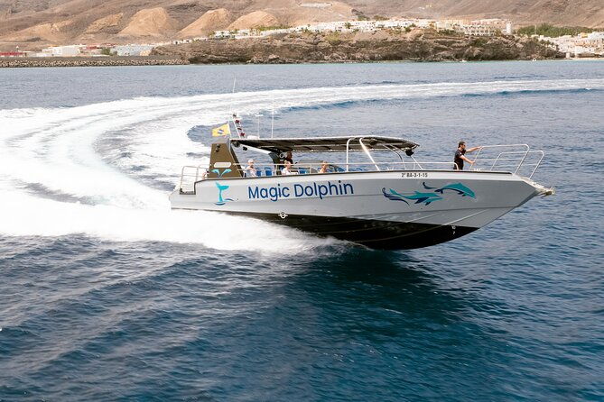 2-hour-dolphin-watching-experience-in-fuerteventura