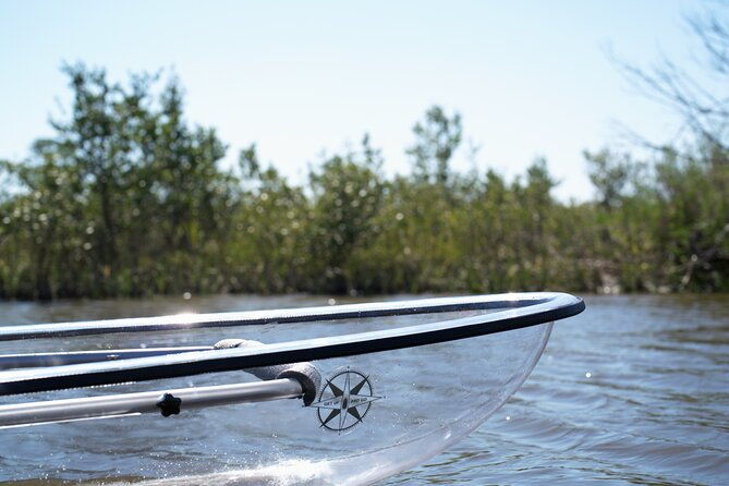 2-hour-glass-bottom-guided-eco-tour-in-flagler-county-small-group