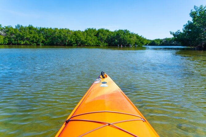 2-hour-guided-kayak-tour-in-boca-ciega-bay-st-pete