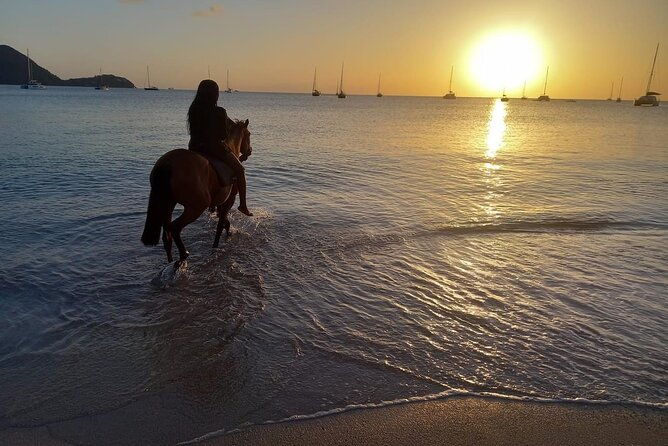 2-hour-horseback-riding-sunset-tour-with-dores-riding-stable
