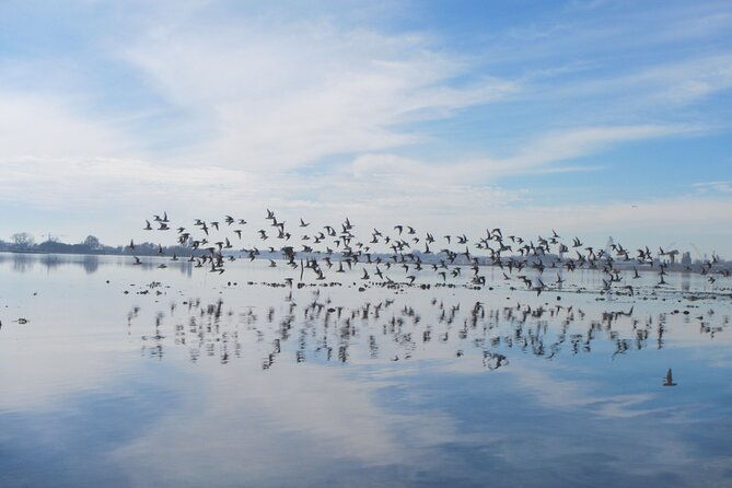 2-hour-night-kayak-tour-in-venice-premium-experience-with-sunset