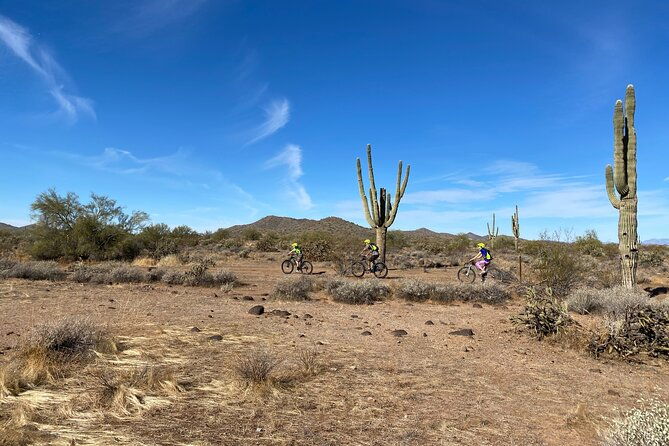 2-hour-sonoran-desert-private-guided-mountain-bike-tour