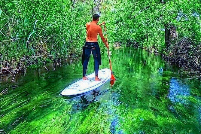2-hours-and-a-half-sup-tour-in-the-ciane-reserve-in-syracuse