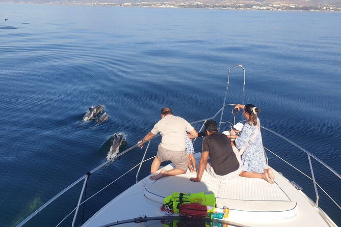 2-hours-dolphin-watching-in-marbella