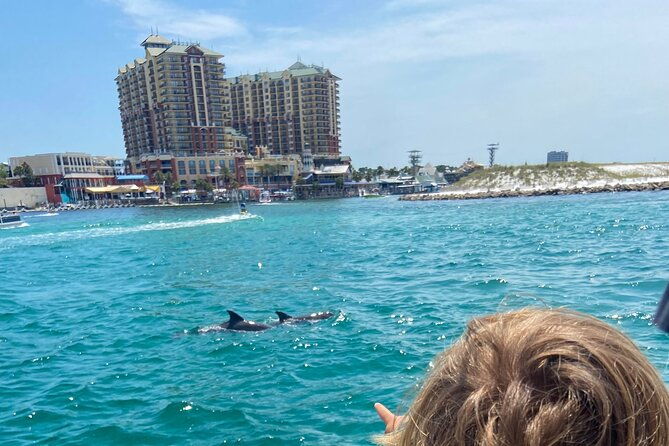 2-hours-guided-afternoon-dolphin-tour-in-florida