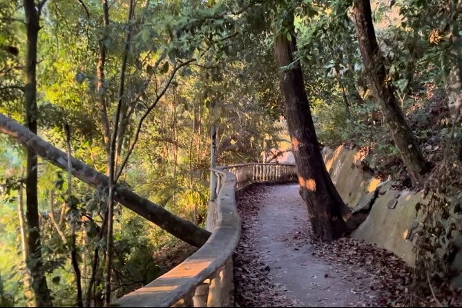 2-hours-private-guided-hiking-experience-to-el-miro-in-jaco
