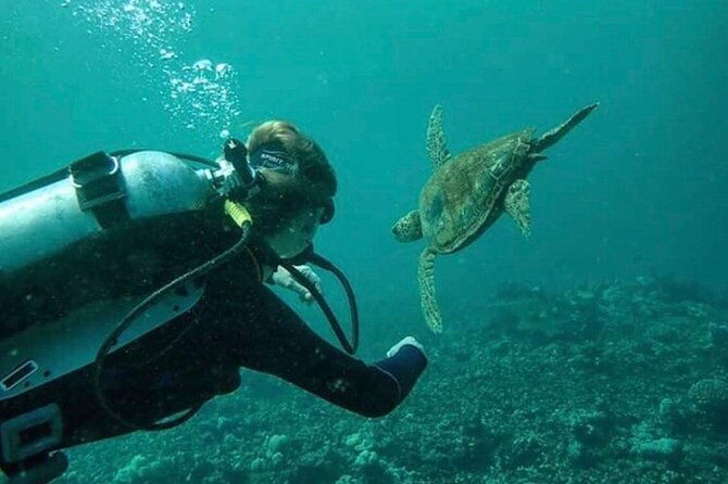 2-tank-shore-dive-at-sea-turtle-cove