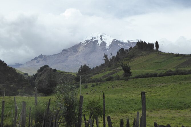 21-day-ecuador-tour-in-andean-jungle-and-cloud-forest