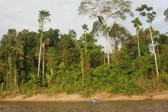 3-day-eco-amazonia-lodge-in-the-amazon-jungle-ecomagico
