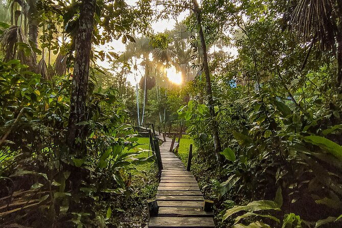 3-day-tour-amazon-three-borders