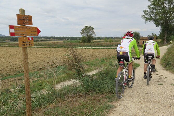 3-hour-bike-tour-and-wine-in-tuscany-nobiles-path