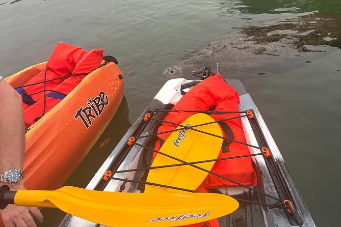3-hour-guided-single-kayak-adventure
