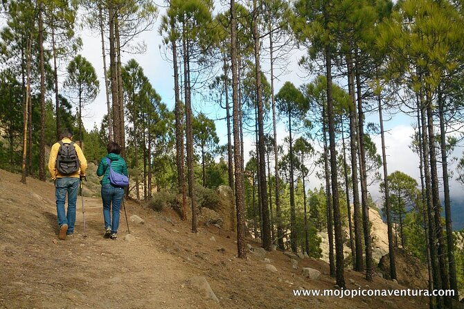 3-hour-hiking-experience-in-roque-nublo-2