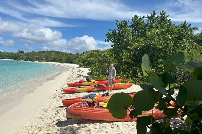 3-hour-kayak-and-snorkel-with-turtles