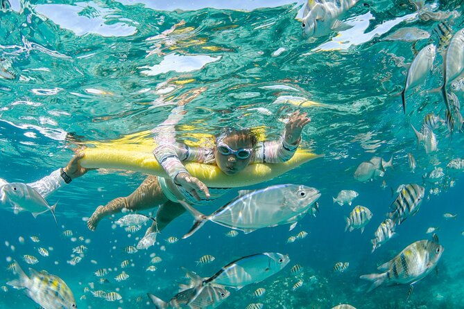 3-hour-private-charter-on-stingray-city-with-snorkeling