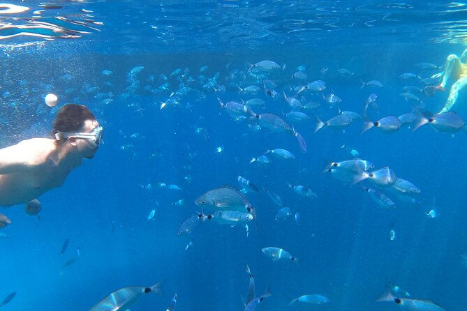 3-hours-aquarium-and-margaritas-islands-excursion