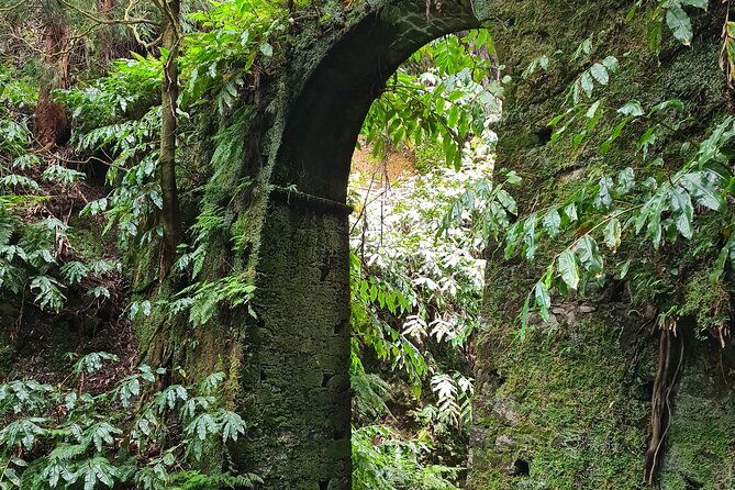3-hours-guided-forest-bathing-hike-in-portugal