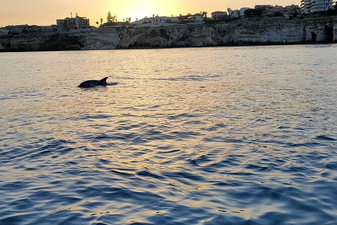 3-hours-private-boat-tour-of-the-island-of-ortigia-with-aperitif-2