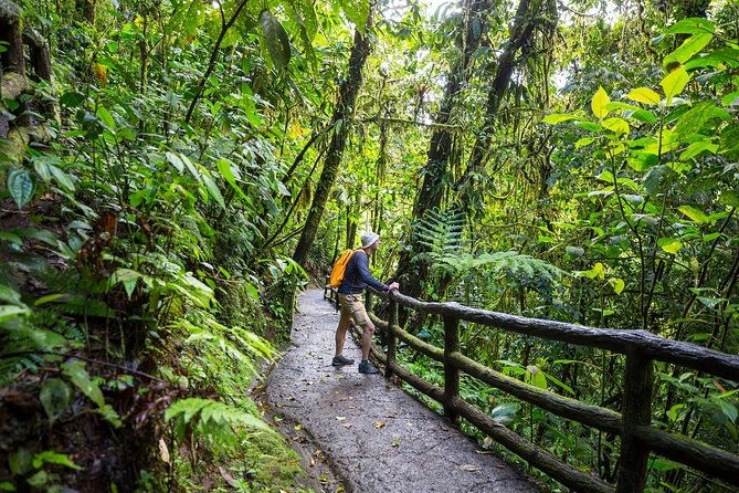 3-in-1-eco-tour-rain-forest-aerial-tram-river-cruise-nature-walk-private-tour