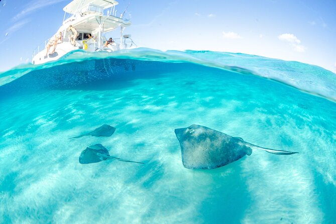 3-stop-adventure-stingray-city-and-snorkeling-at-cayman-reefs